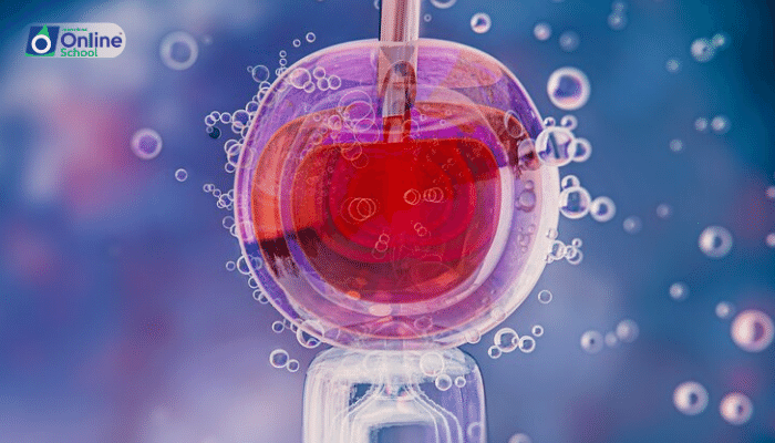 Lesson 19: Plasmolysis: When Cells Shrink from Osmotic Pressure